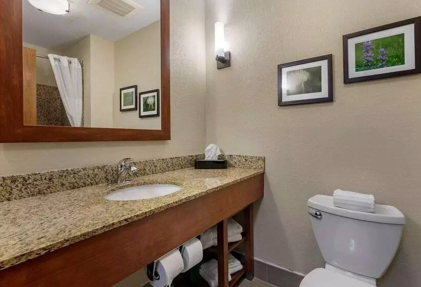 スイート, Comfort Suites Manhattan