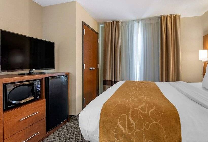 スイート, Comfort Suites Manhattan