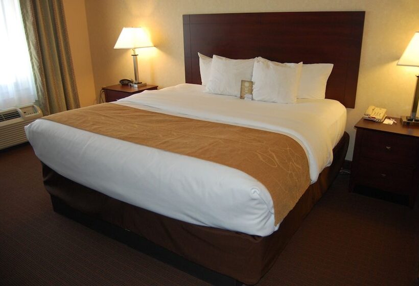 סוויטה, Comfort Suites Manhattan