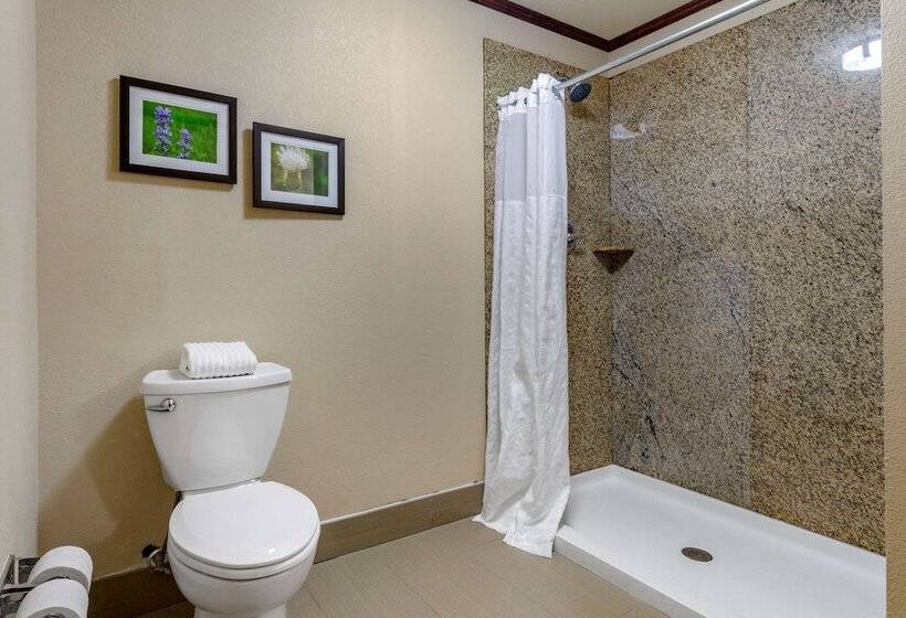 스위트, Comfort Suites Manhattan