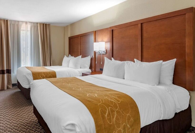 スイート, Comfort Suites Manhattan