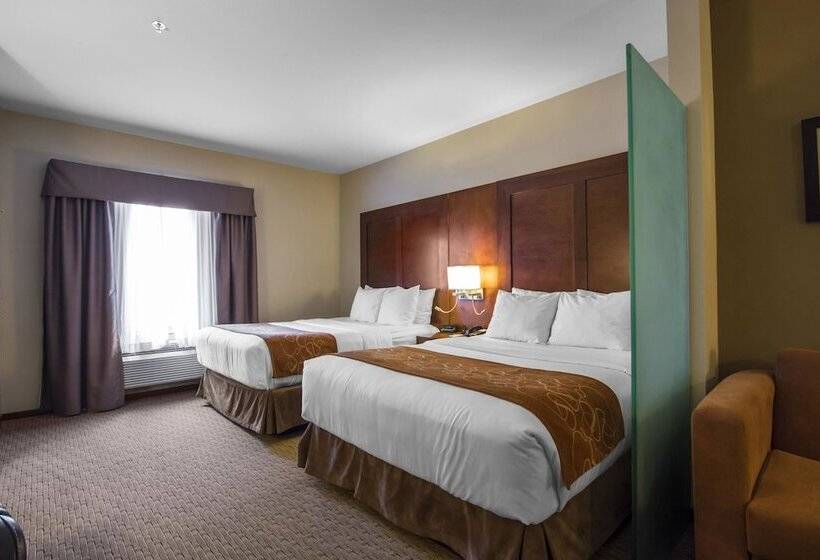 Люкс, Comfort Suites