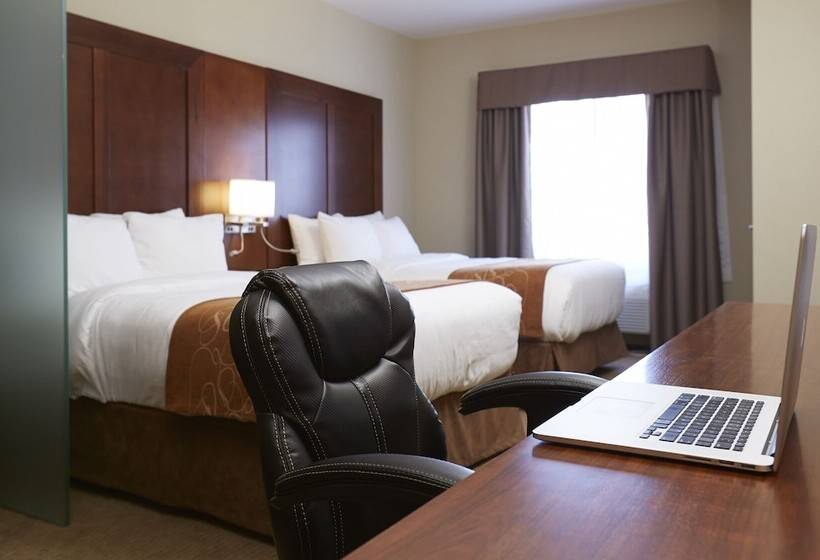 スイート, Comfort Suites
