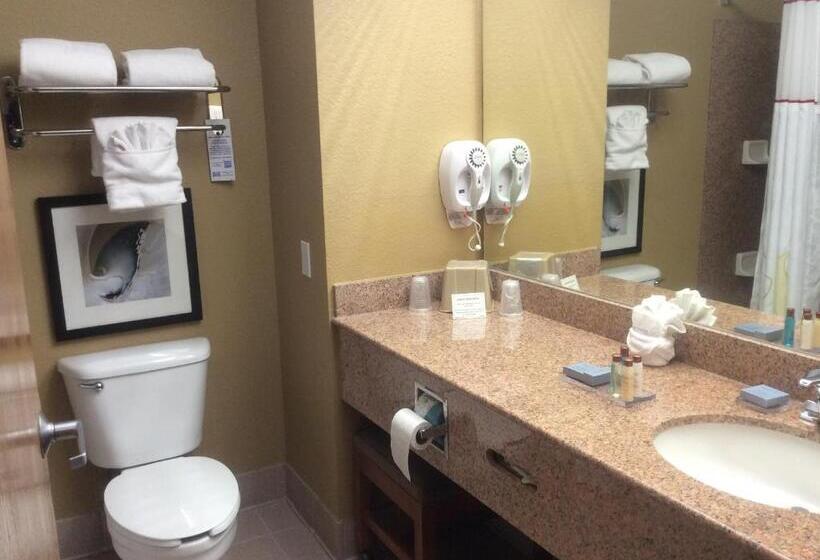 اتاق استاندارد با تخت بزرگ, Hawthorn Extended Stay By Wyndham Corpus Christi