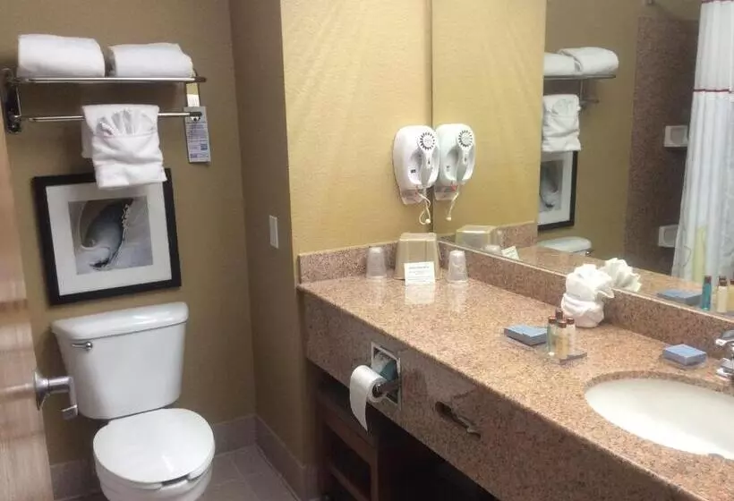 スタンダードルーム, Hawthorn Extended Stay By Wyndham Corpus Christi