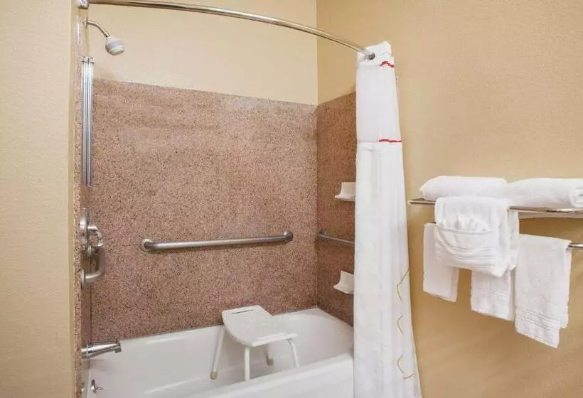 身障者適用キングサイズベッドルーム, Hawthorn Extended Stay By Wyndham Corpus Christi