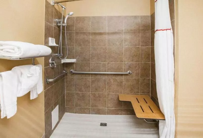 身障者適用キングサイズベッドルーム, Hawthorn Extended Stay By Wyndham Corpus Christi