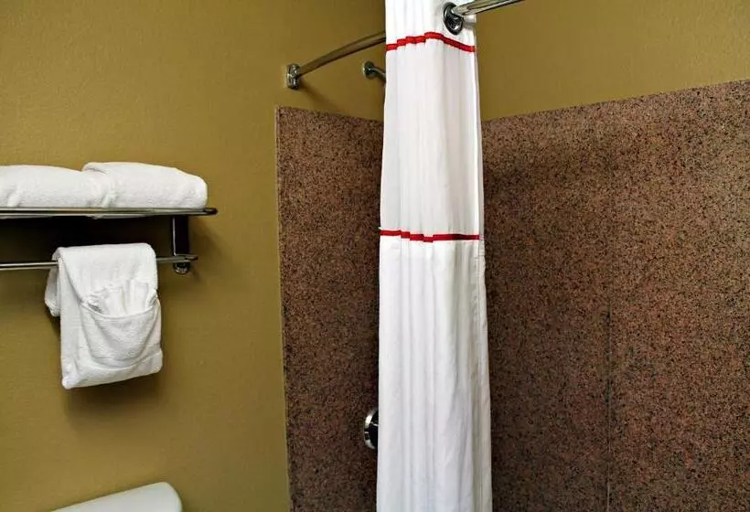 身障者適用キングサイズベッドルーム, Hawthorn Extended Stay By Wyndham Corpus Christi