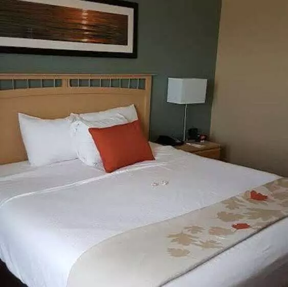 スイート, Hawthorn Extended Stay By Wyndham Corpus Christi