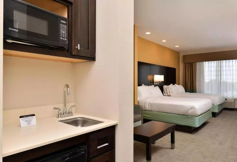 スイート, Holiday Inn Express & Suites Austin South, An Ihg