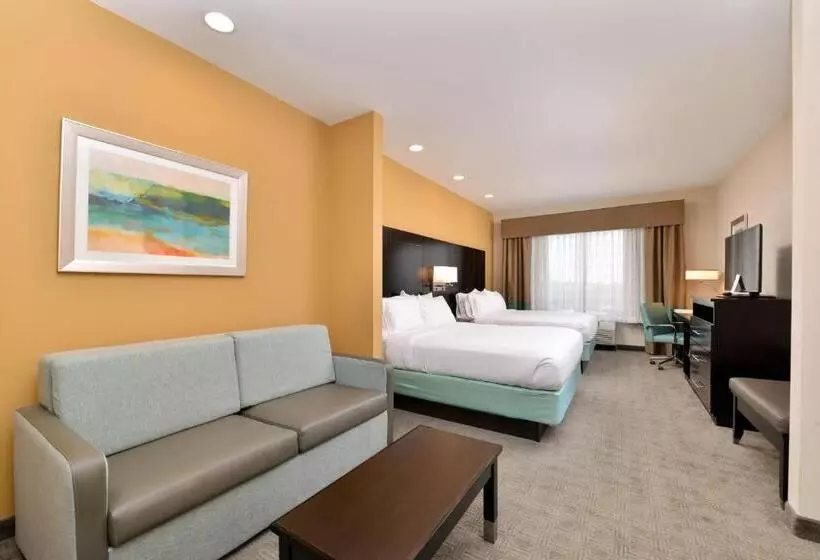 スイート, Holiday Inn Express & Suites Austin South, An Ihg
