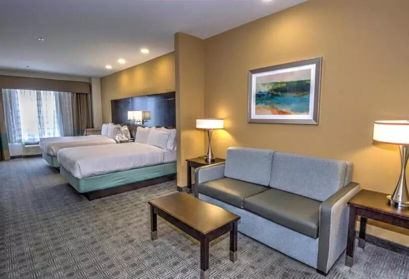 スイート, Holiday Inn Express & Suites Austin South, An Ihg