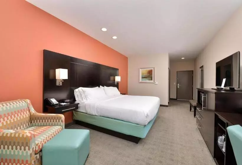 身障者適用スイートルーム, Holiday Inn Express & Suites Austin South, An Ihg