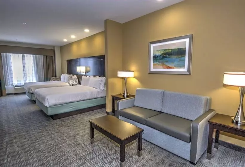 身障者適用スイートルーム, Holiday Inn Express & Suites Austin South, An Ihg