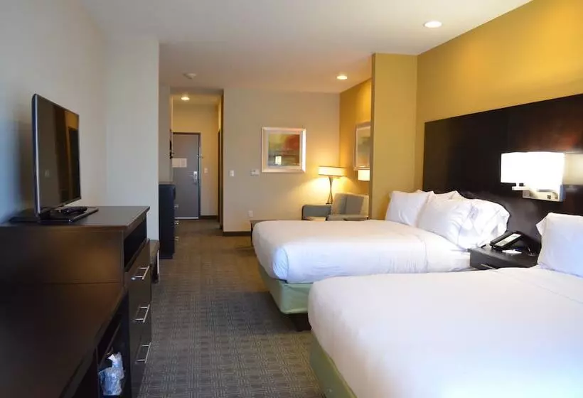 身障者適用スイートルーム, Holiday Inn Express & Suites Austin South, An Ihg