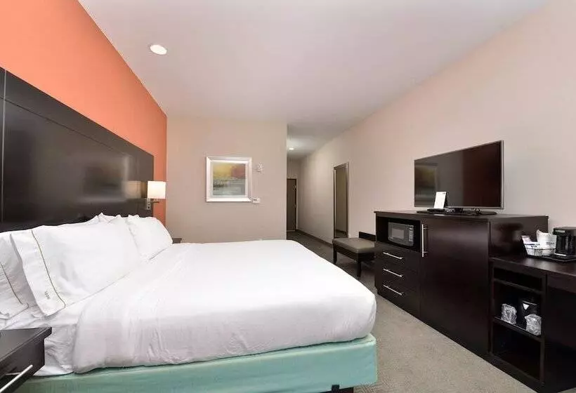 スタンダードルーム, Holiday Inn Express & Suites Austin South, An Ihg