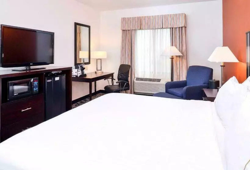 キングサイズベッドのスタンダードルーム, Holiday Inn Express & Suites Greenfield, An Ihg