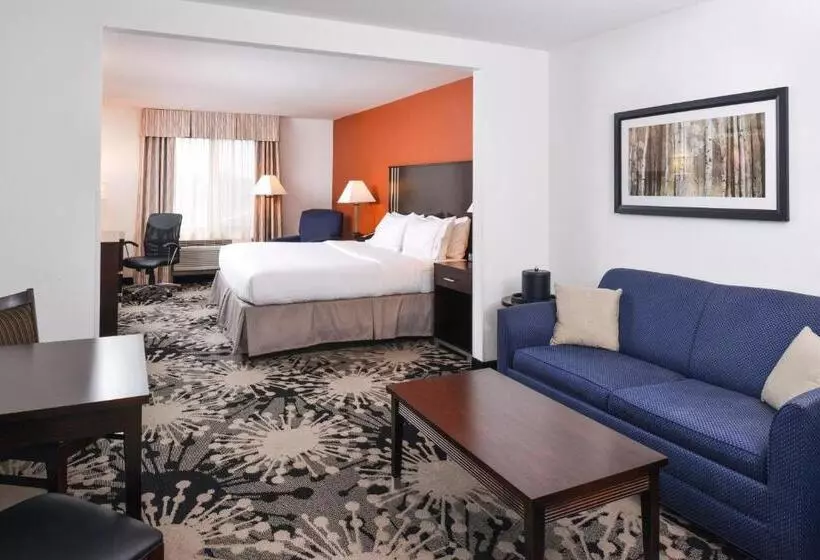 キングサイズベッドのスイートルーム, Holiday Inn Express & Suites Greenfield, An Ihg