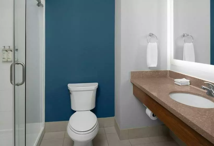 اتاق استاندارد, Holiday Inn Express & Suites Midland South I 20, An Ihg