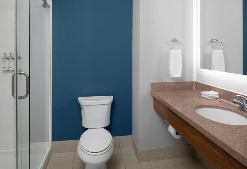 غرفة قياسية سرير كينج, Holiday Inn Express & Suites Midland South I 20, An Ihg