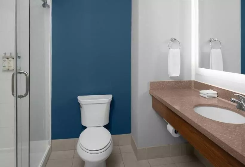 سوئیت با تخت بزرگ, Holiday Inn Express & Suites Midland South I 20, An Ihg