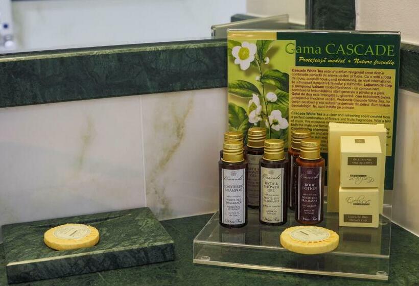 デラックスルーム, International Iasi