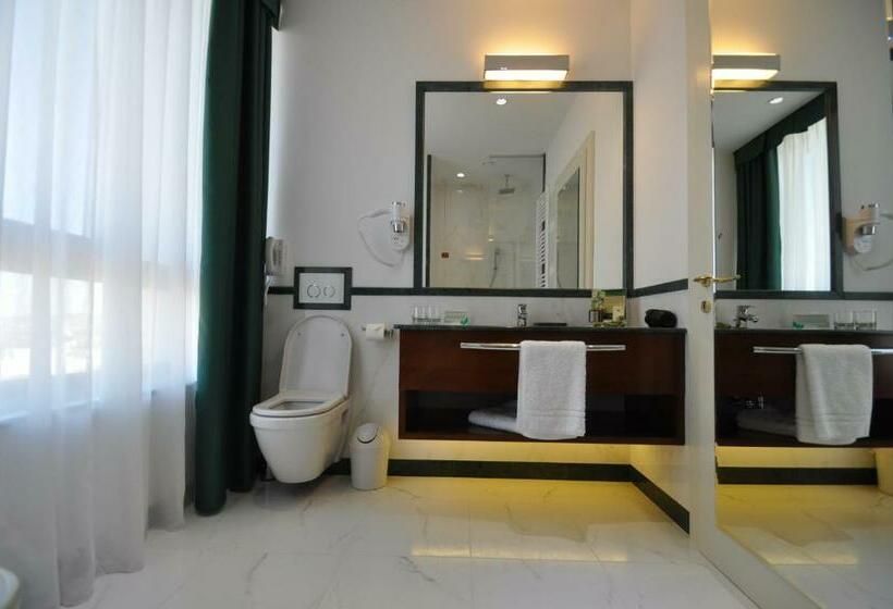 景色の見えるデラックスルーム, International Iasi