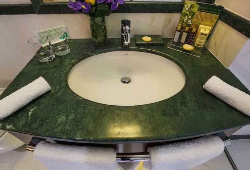 シティビューのデラックスルーム, International Iasi