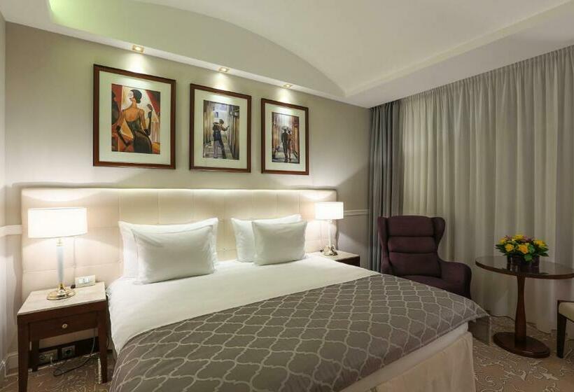 シティビューのデラックスルーム, International Iasi