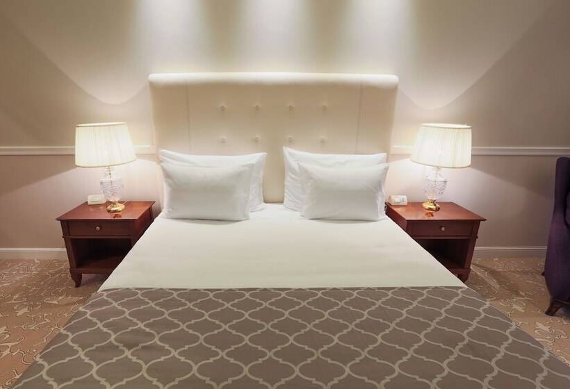 シティビューのデラックスルーム, International Iasi