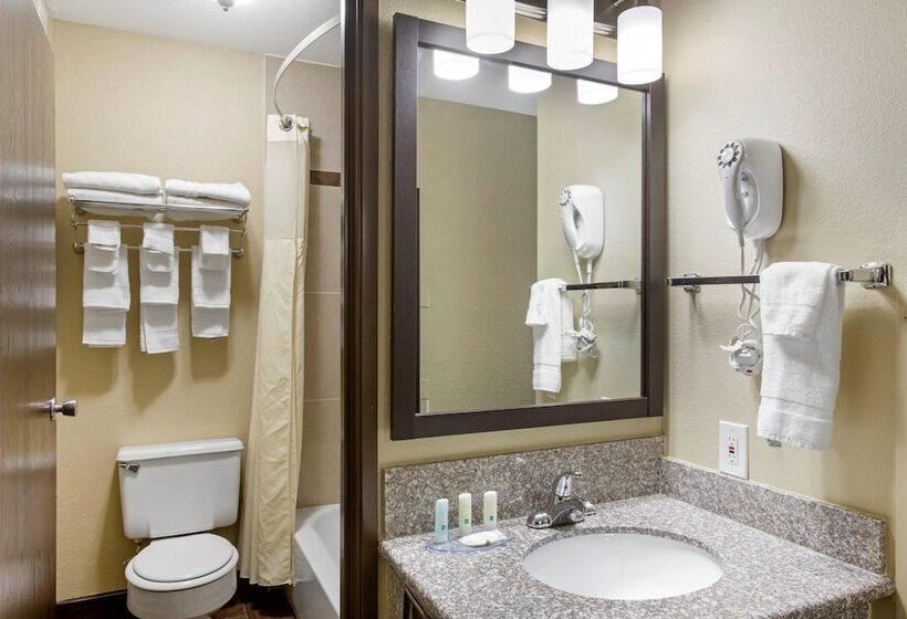 Номер Стандарт 2 Двуспальные Кровати, Quality Inn Downtown
