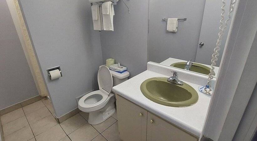 غرفه قياسيه سريرين مزدوجين, Rodeway Inn