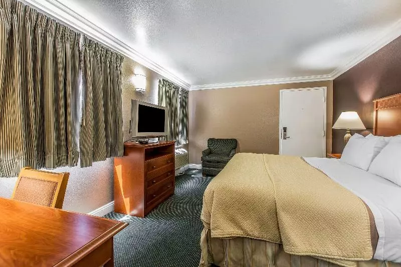 キングサイズベッドのスタンダードルーム, Rodeway Inn