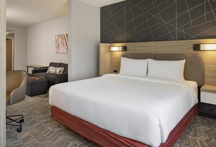 带大床的套房, Springhill Suites By Marriott Turlock