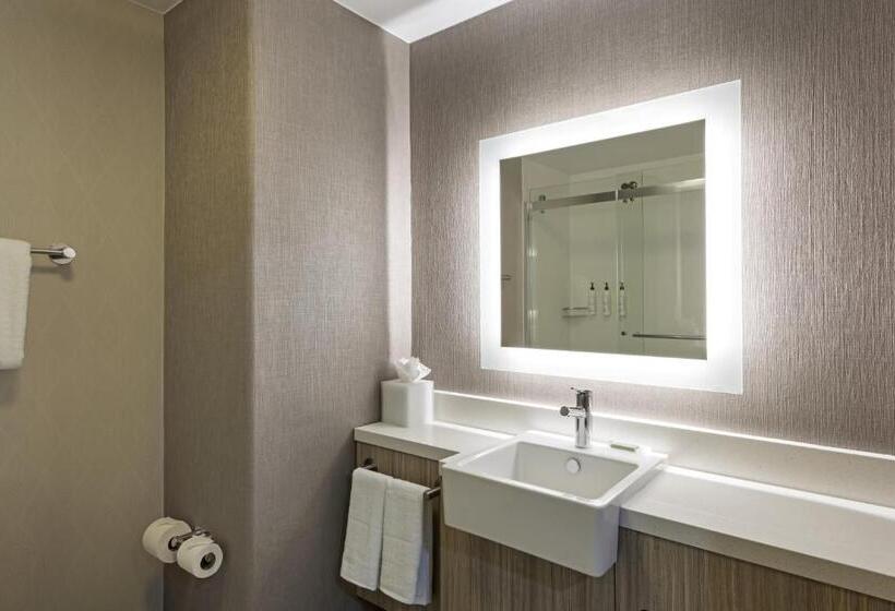 جناح سرير كينج, Springhill Suites By Marriott Turlock