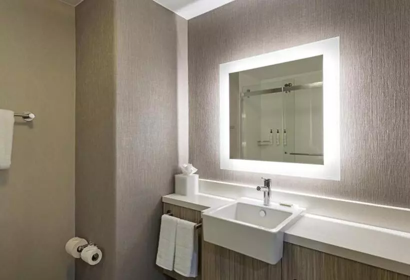 キングサイズベッドのスイートルーム, Springhill Suites By Marriott Turlock
