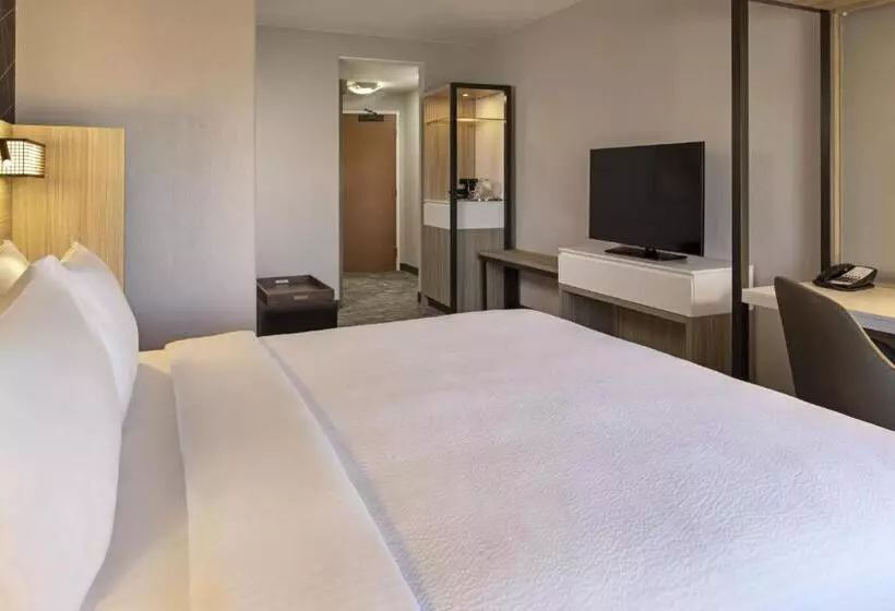 キングサイズベッドのスイートルーム, Springhill Suites By Marriott Turlock