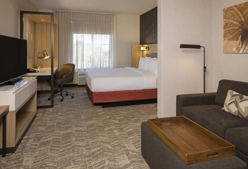 带大床的套房, Springhill Suites By Marriott Turlock