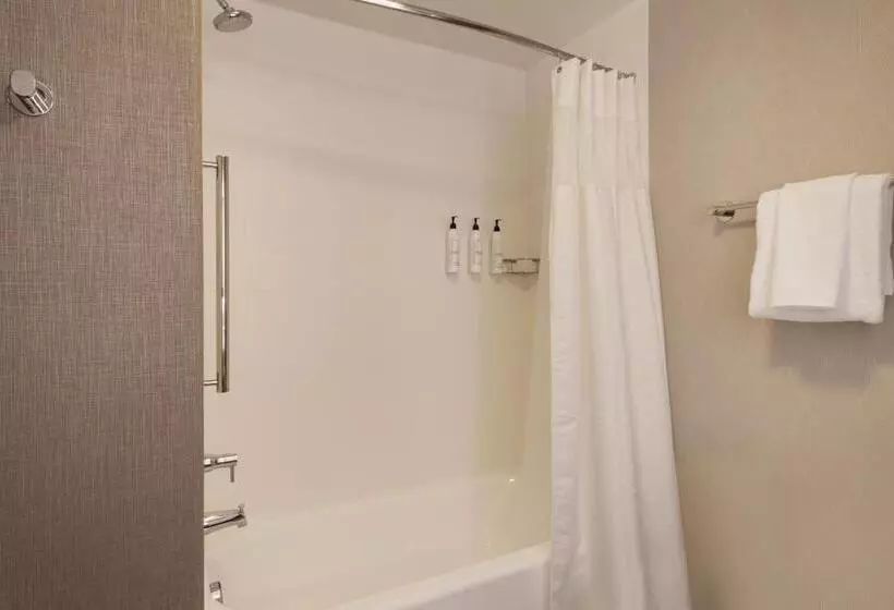 スイート, Springhill Suites By Marriott Turlock