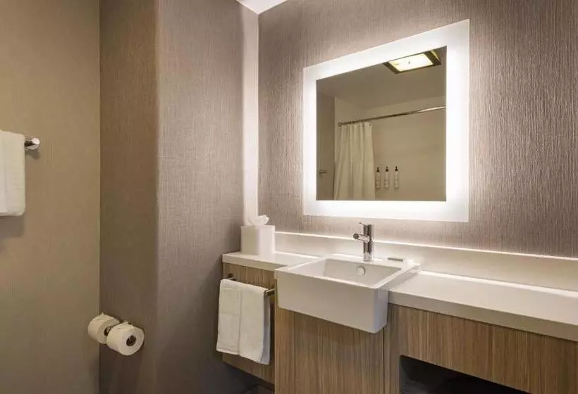 スイート, Springhill Suites By Marriott Turlock