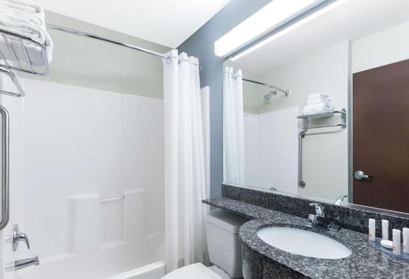스탠다드 스튜디오, Microtel Inn And Suites Baton Rouge Airport