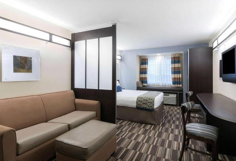 استودیوی استاندارد, Microtel Inn And Suites Baton Rouge Airport