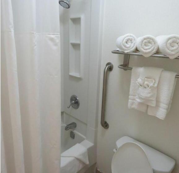 غرفة قياسية, Super 8 By Wyndham Kingston