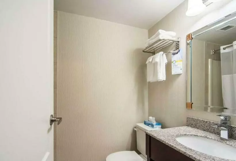 Chambre Standard, Quality