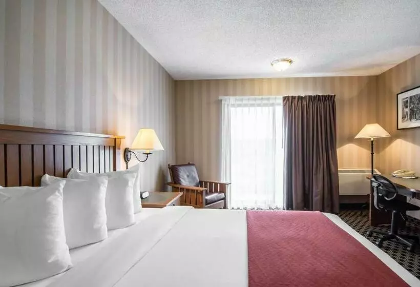 Chambre Standard, Quality
