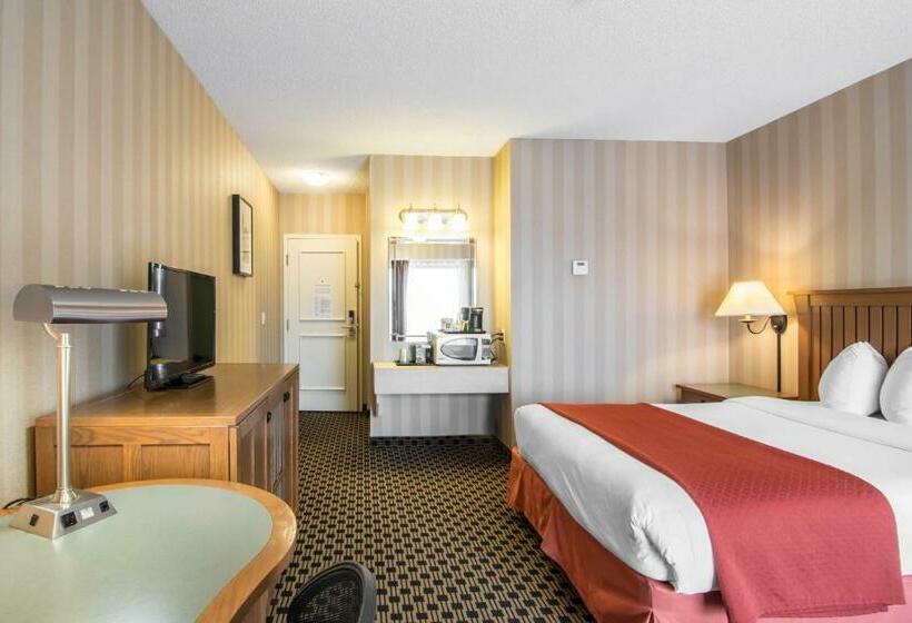 غرفة قياسية, Quality