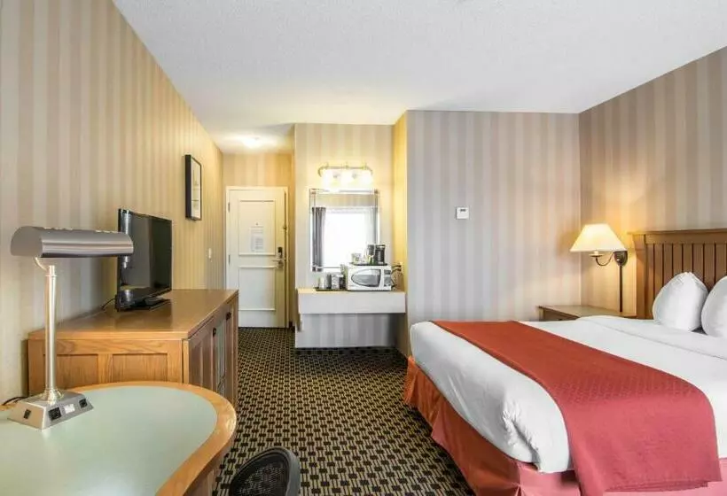 Chambre Standard, Quality
