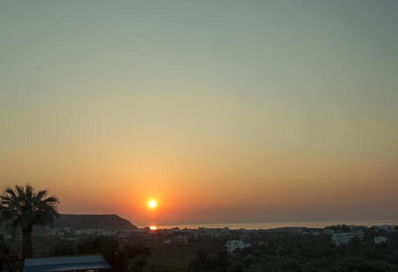 エクゼクティブワンルーム, Hillside Studios & Apartments