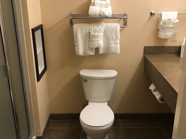 غرفة تنفيذية, Best Western Plus Arlington/marysville