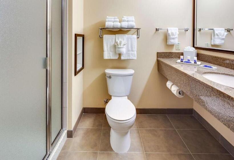 غرفة قياسية سرير كينج, Best Western Plus Arlington/marysville